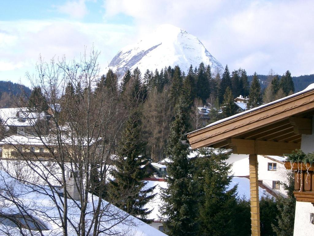 Hotel Tyrol-Alpenhof 蒂罗尔-泽费尔德 客房 照片